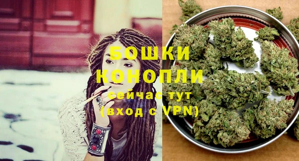 крисы Богданович