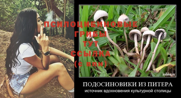 крисы Богданович