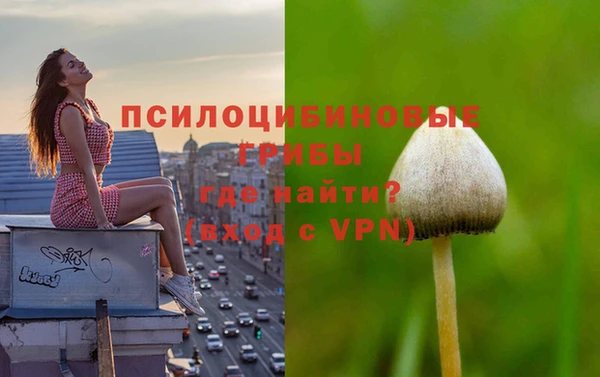 крисы Богданович